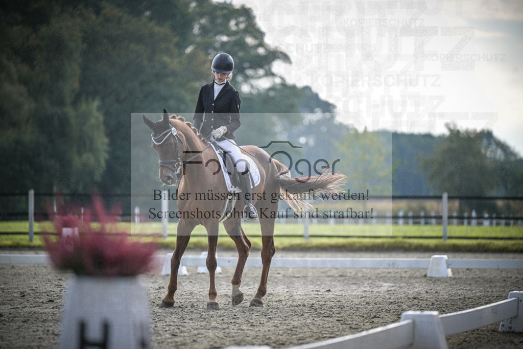 DOS_B112 | Entdecke hochwertige Reitturnierfotos von Foto Oger. Professionell, emotional und authentisch – jetzt Lieblingsmomente im Shop bestellen.Deutschlandweite Turnierfotografie. - Realisiert mit Pictrs.com