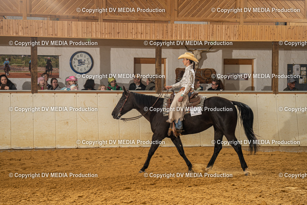 MIT00923 | dv-media-shop - Realisiert mit Pictrs.com