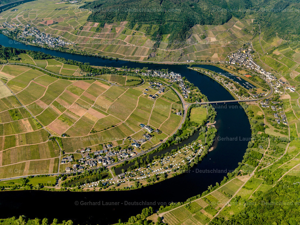 Weinberge-Mosel-Nehren-3114346 | Weinberge und Mosel bei Nehren