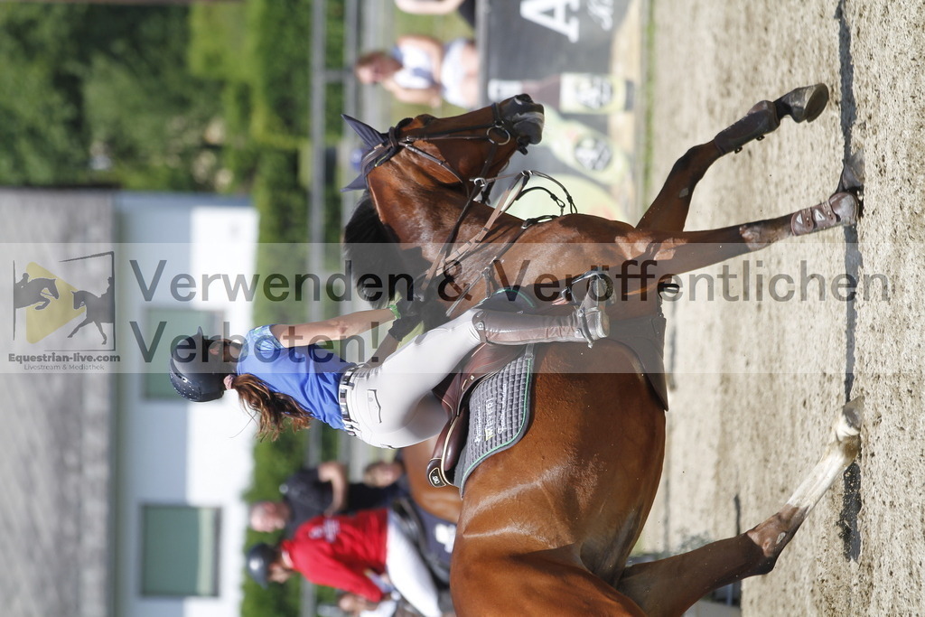 _MG_6089 | equestrian-live-com