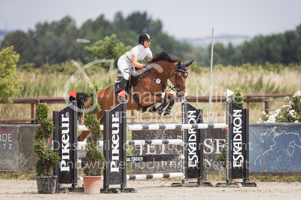 250628_PfSpTa_Youngster-M2-368 | Deine schönsten Turniermomente als professionelle Fotos! Entdecke hochwertige Pferdesport-Fotografie im Online-Shop. Jetzt Fotos finden & bestellen!