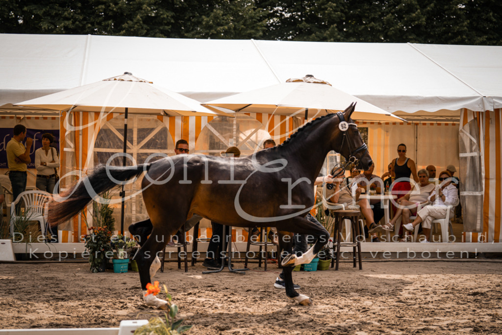 6.Fr00038 | Leoni Ertmer Photography - Realisiert mit Pictrs.com