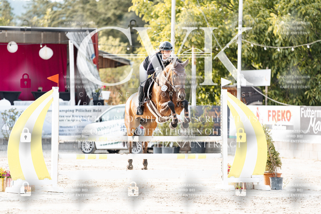 CK906774 | Turnierfotografie Pferdefotografie Trier Rheinland-Pfalz Pferdesport Reitsport Tierfotografie Sportfotografie Pferdevideo Pferdevideografie Equestrianvideography equestrianphotography  - Realisiert mit Pictrs.com