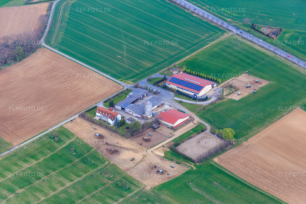 Luftbild: Gehöft des Bauernhofes Roßberghof in Roßdorf im Bundesland Hessen in Deutschland. Foto: IMG_077267.jpg vom 12.04.2015 durch Werner Riehm/FLY-FOTO.deWWW.ROSSBERGHOF.DE
