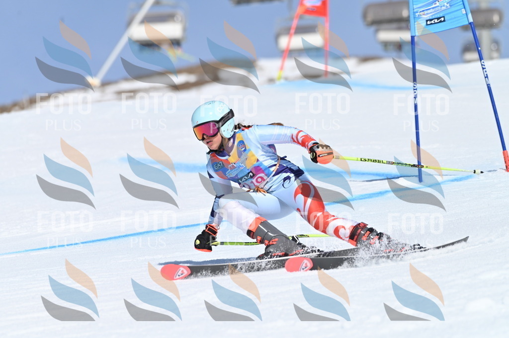 BGV_9797 | holidayphoto