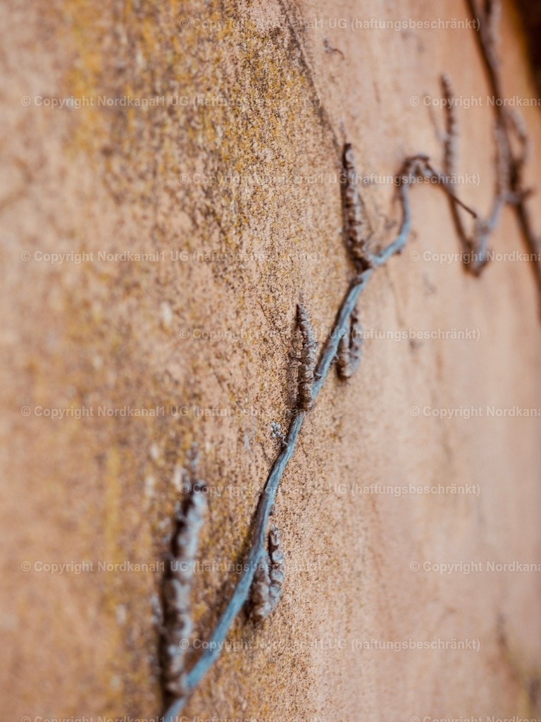 IMG_2874 | OLYMPUS DIGITAL CAMERA          - Realisiert mit Pictrs.com