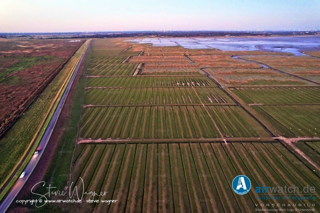Nordsee, Nordfriesland, Nordstrand, Pohnshalligkoog - airwatch.de | Der Pohnshalligkoog umfasst eine Fläche von etwa 695 Hektar und ist der östlichste und zweitgrößte Koog der Halbinsel Nordstrand. Die Eindeichung des Pohnshalligkoogs war 1924 abgeschlossen. Trotz der Schwierigkeiten bei der Errichtung des Deiches und des verschlammten Bodens konnten die ersten Pächter 1924 den Koog übernehmen. Fünf Jahre nach der Eindeichung wurden die Pachtverträge jedoch aufgelöst und das gesamte Land der “Gemeinnützigen Siedlungsgesellschaft Deutscher Osten” übergeben.