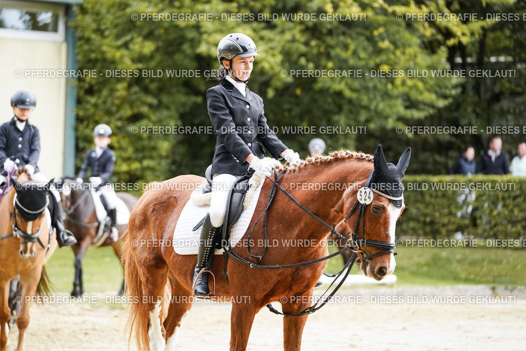 DSC05063 | Pferdegrafie