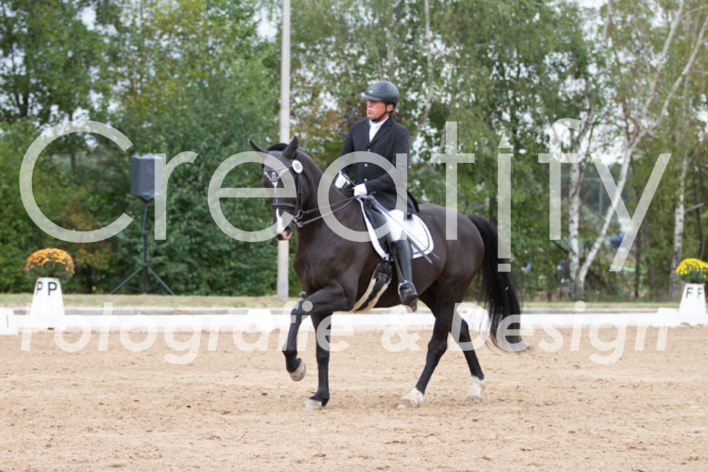 IMG_7006 | Creatify Fotografie