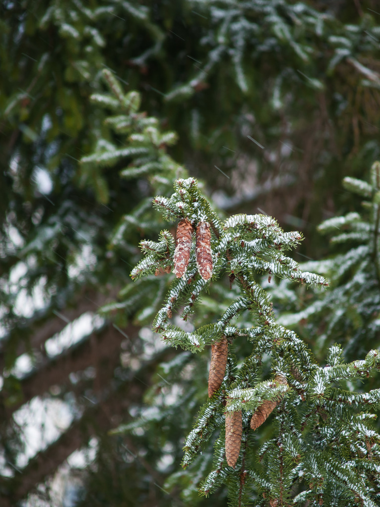 PSX_20230118_222703 | OLYMPUS DIGITAL CAMERA - Realisiert mit Pictrs.com