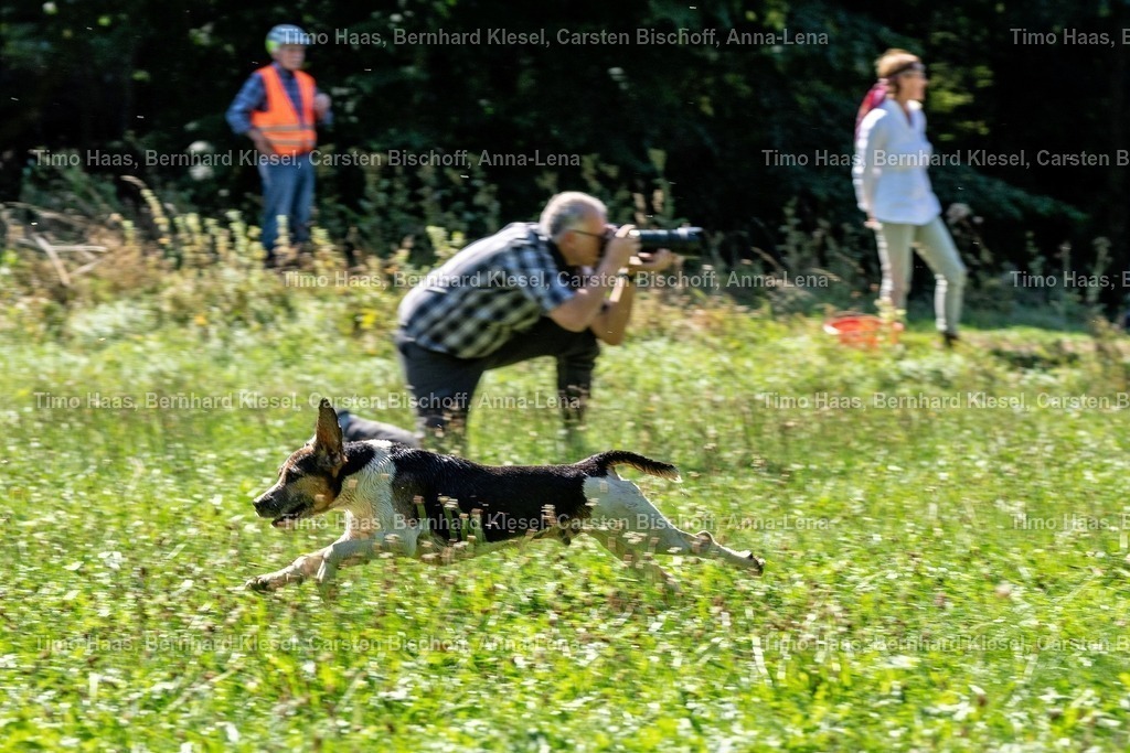 A1B09309 | foto-team-bernhard - Realisiert mit Pictrs.com