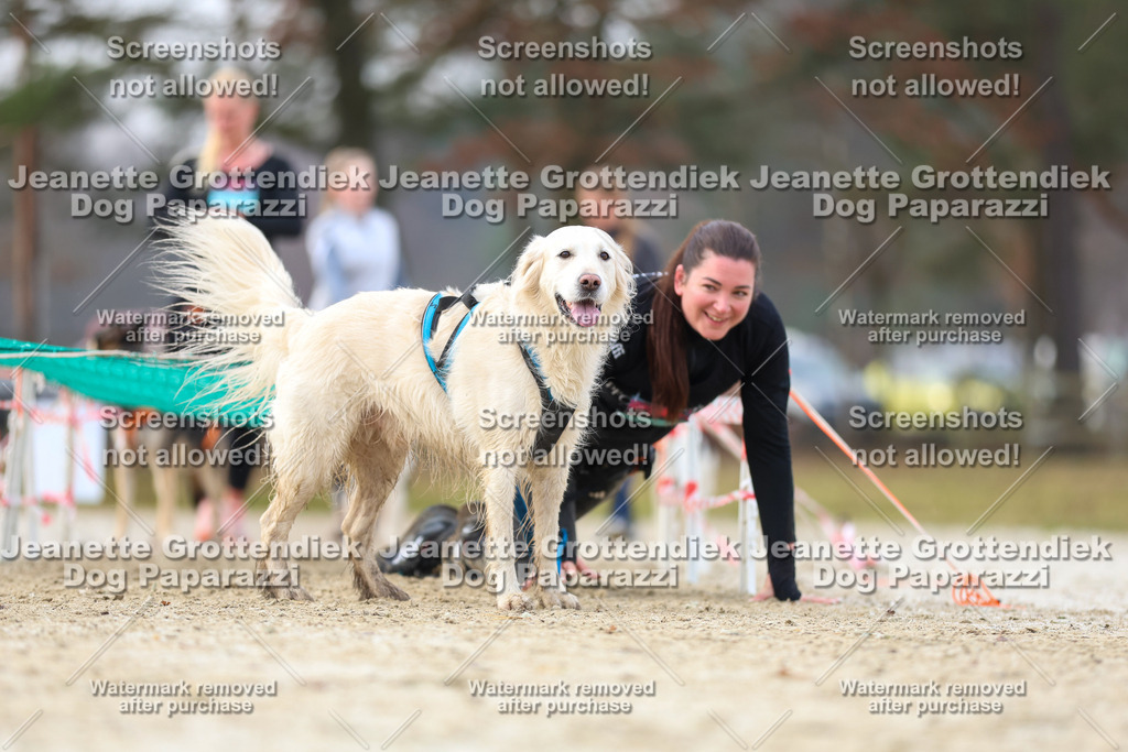 Dog Paparazzi - Strongdog North Mrz26-4154 | Dog Paparazzi Jeanette Grottendiek Fotografie & Videografie - Realisiert mit Pictrs.com