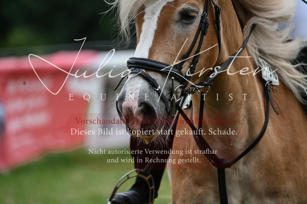 DSC_8422 | Pferde- und Turnierfotografie in Westsachsen. Pferdeportraits, Auftragszeichnungen und intuitive Kunst.