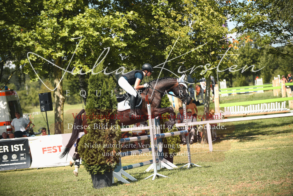 DSC_6730 | Pferde- und Turnierfotografie in Westsachsen. Pferdeportraits, Auftragszeichnungen und intuitive Kunst.