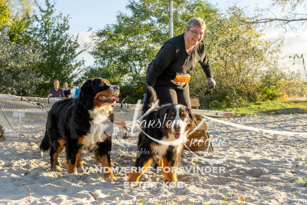 1653_ZZ90022 | kk-dogfotos