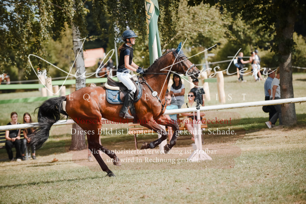 DSC_5519 | Pferde- und Turnierfotografie in Westsachsen. Pferdeportraits, Auftragszeichnungen und intuitive Kunst.