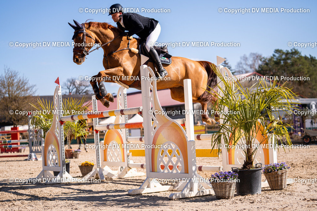 Kranichstein Tag 2-782 | dv-media-shop - Realisiert mit Pictrs.com