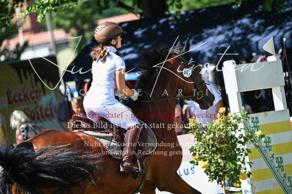 DSC_1193 | Pferde- und Turnierfotografie in Westsachsen. Pferdeportraits, Auftragszeichnungen und intuitive Kunst.