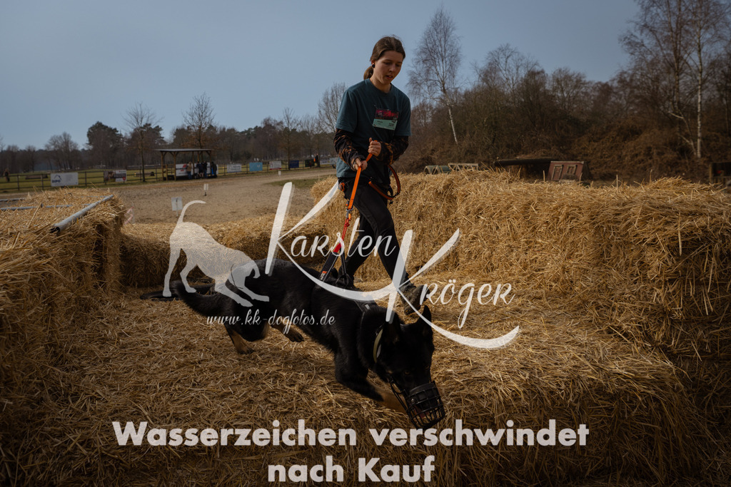 1118_ZZ92872 | kk-dogfotos