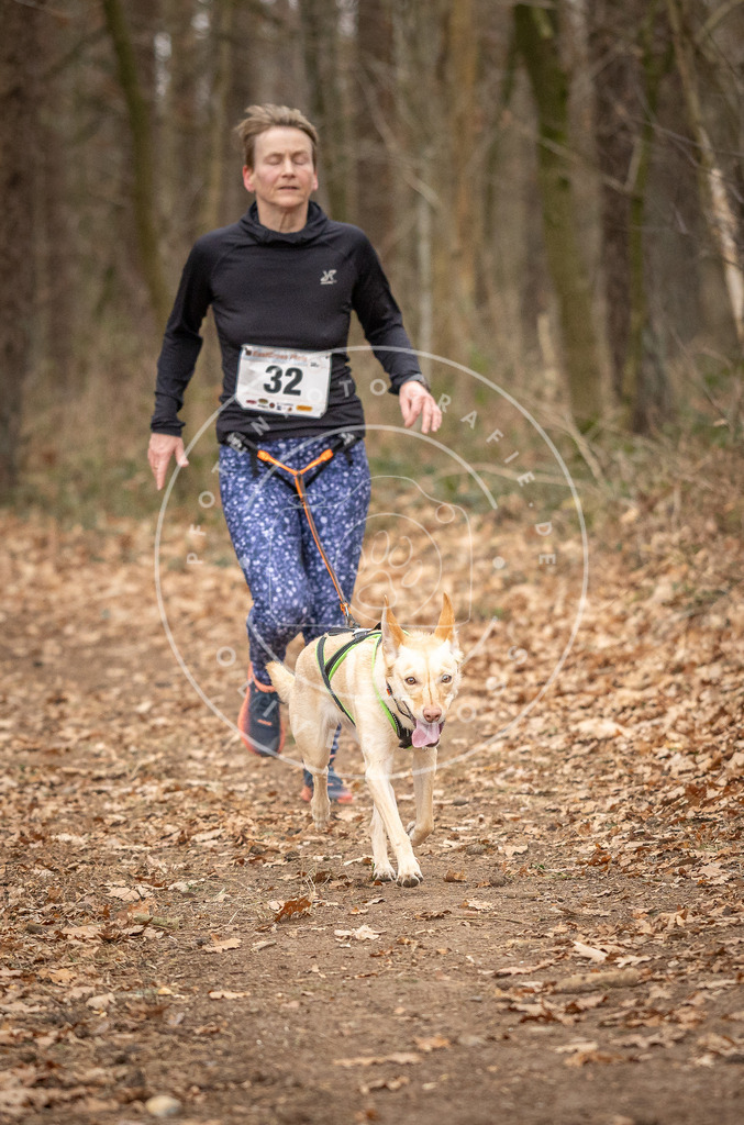 Pfotenfotografie_DV3A9437 | Hundefotografie, Tierfotograf, Pfotenfotografie, Fotoshooting Hund, Hunde Portrait, Hundesport, Hundeportraits, Heideshooting, Hunde, Sportfotograf, Hundefotograf, Turnierhundsport, THS,  - Realisiert mit Pictrs.com