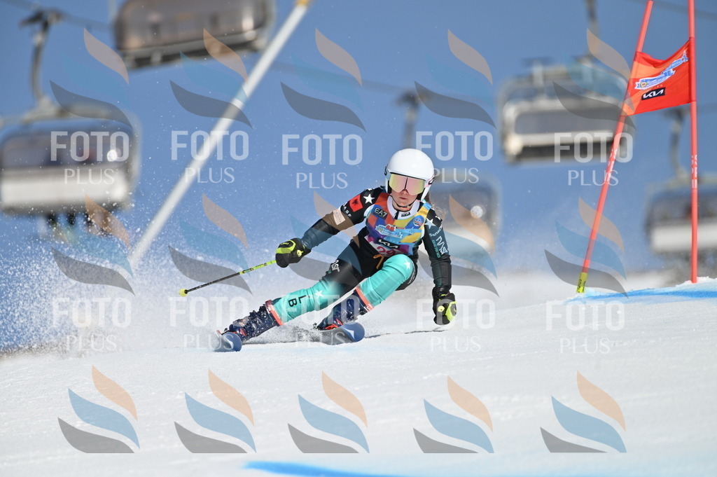 BGV_8125 | holidayphoto