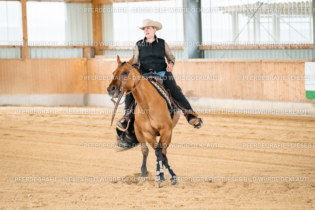 DSC03013 | Pferdegrafie