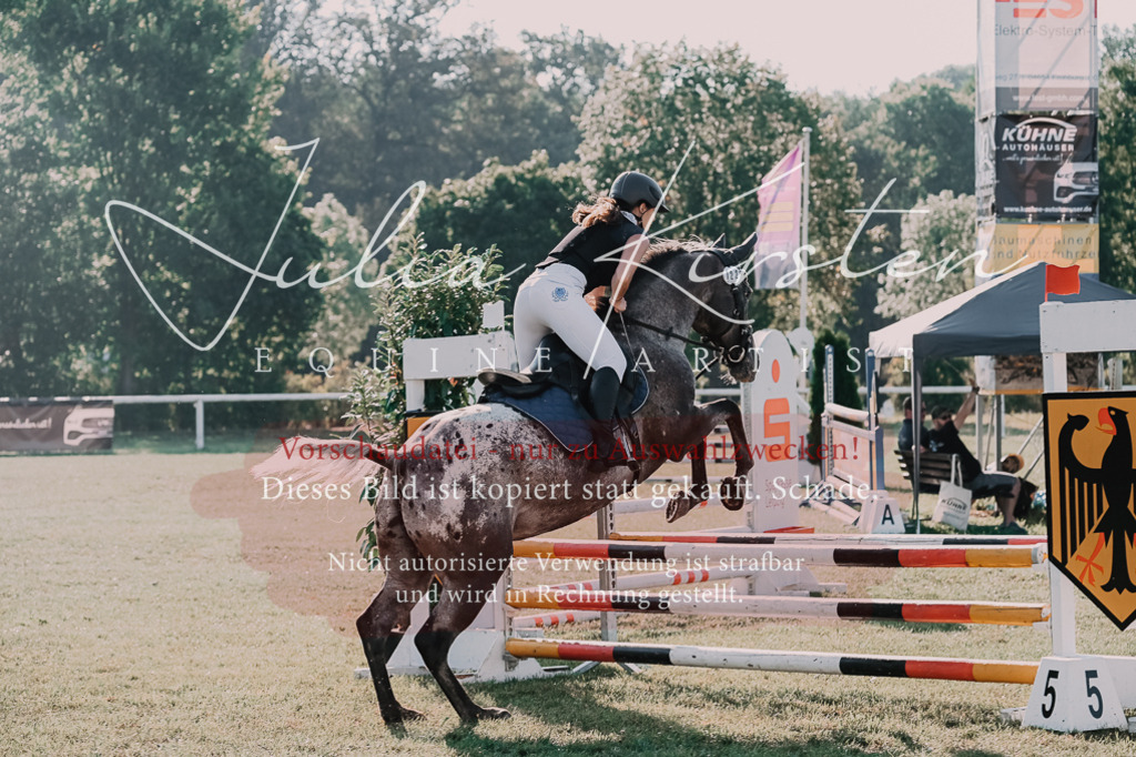 DSC_4491 | Pferde- und Turnierfotografie in Westsachsen. Pferdeportraits, Auftragszeichnungen und intuitive Kunst.