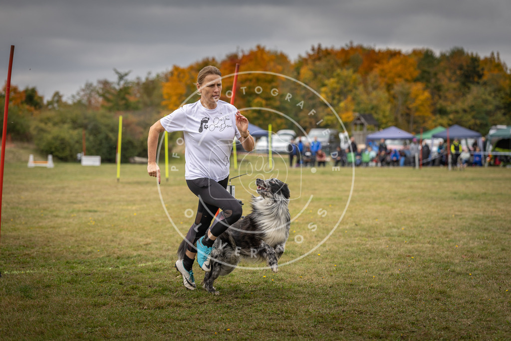 Pfotenfotografie_DV3A6006 | Hundefotografie, Tierfotograf, Pfotenfotografie, Fotoshooting Hund, Hunde Portrait, Hundesport, Hundeportraits, Heideshooting, Hunde, Sportfotograf, Hundefotograf, Turnierhundsport, THS,  - Realisiert mit Pictrs.com