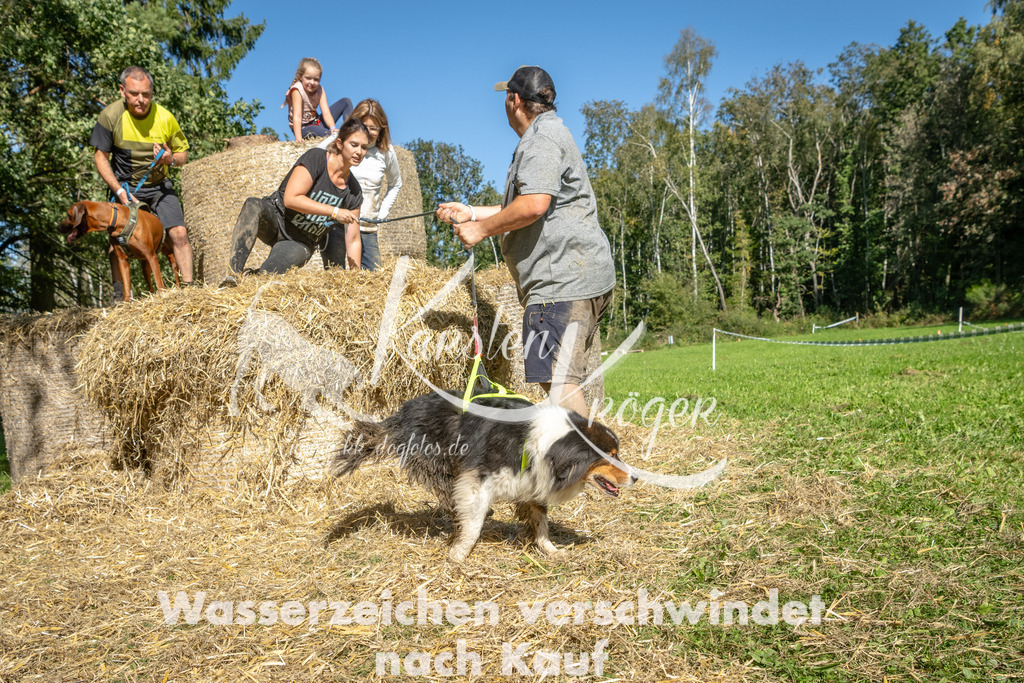 1337_ZZ90673-3 | kk-dogfotos