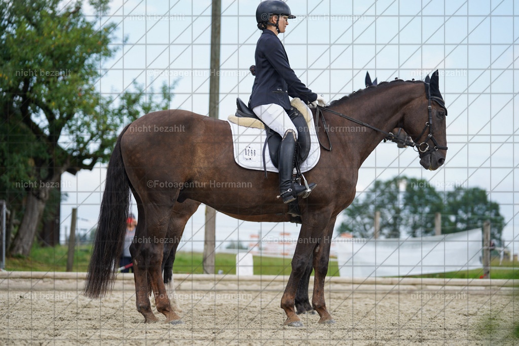 20230826-FAH05179 | Forstinning, 2023, Dressurturnier, Turniersportbilder, Turnierfotografen Bayern, Fotoagentur Herrmann, Reitsportfotografie, Turnierbilder