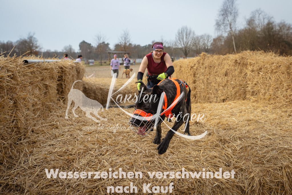 1044_ZZ98746 | kk-dogfotos