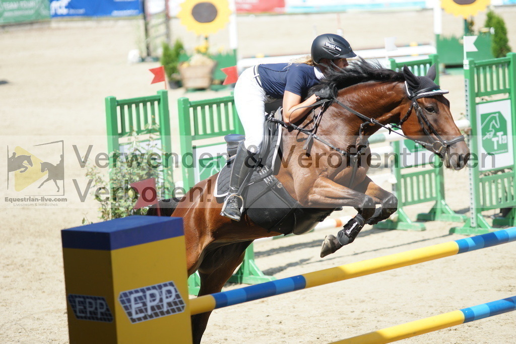 DSC05842 | equestrian-live-com