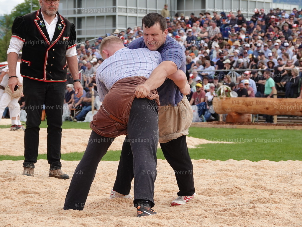 DSC06402 | Schwingen - Realisiert mit Pictrs.com