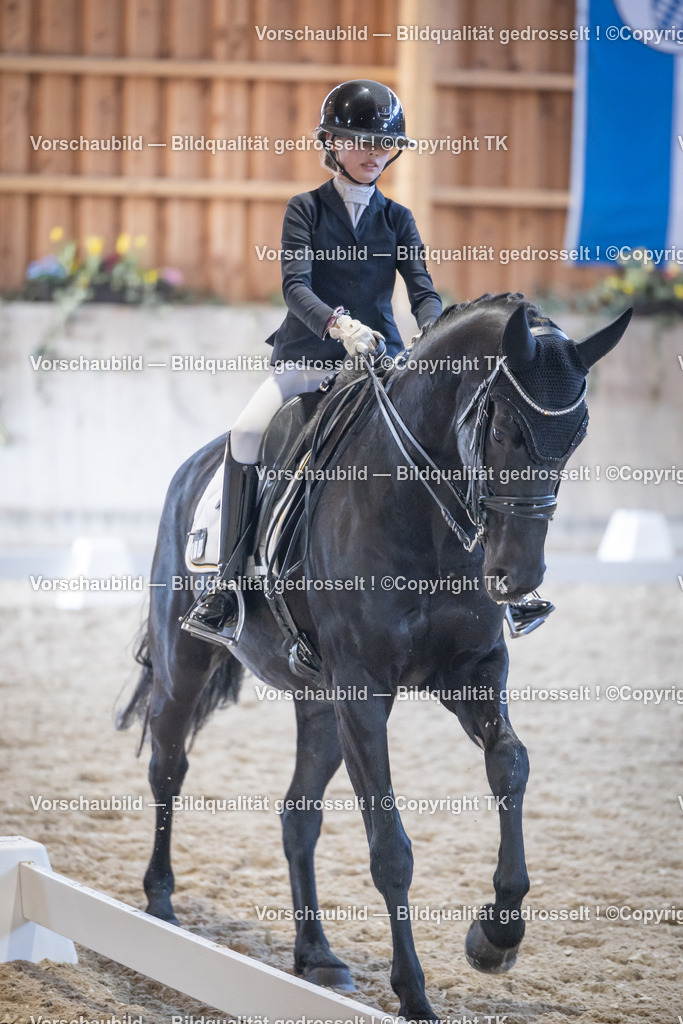 _D5A5088 | Emotionale Pferde- & People-Fotografie rund um Heidelberg, Leimen & Umgebung. Natürliche Fotos von Pferd, Mensch & Familie. Jetzt Termin sichern!