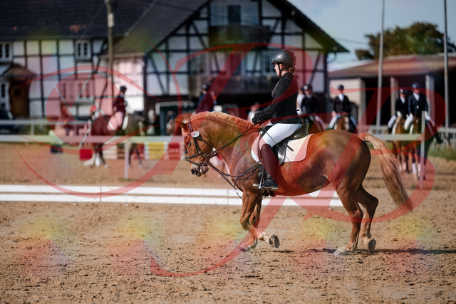 2026_10_03_Siefer-Hof_122027_Z63_43026558 | Professionelle Reitsport-, Turnier- und Eventfotografie von Robert Broda. Galerien mit ausgewählten und bearbeiteten Bildern direkt online ansehen und bestellen.