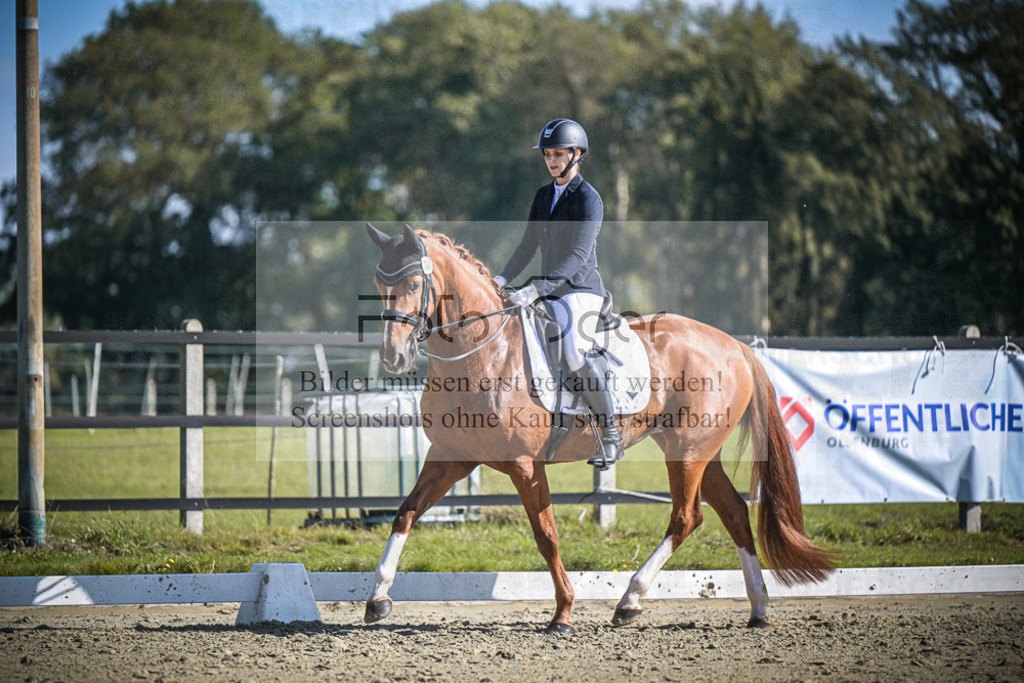 DOS_2568 | Entdecke hochwertige Reitturnierfotos von Foto Oger. Professionell, emotional und authentisch – jetzt Lieblingsmomente im Shop bestellen.Deutschlandweite Turnierfotografie. - Realisiert mit Pictrs.com