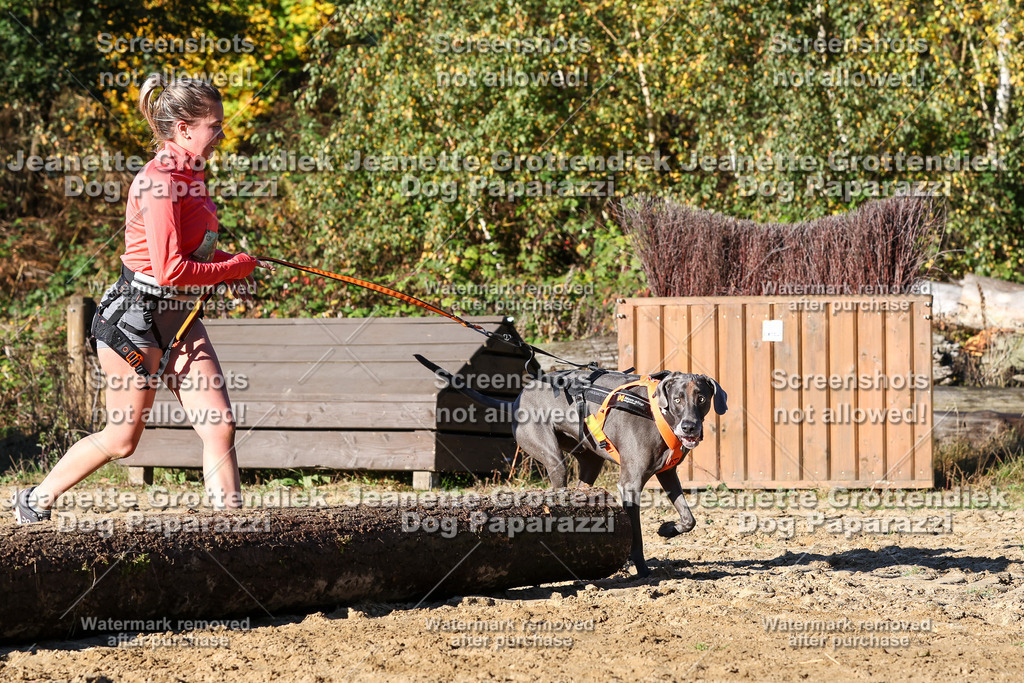 Dog Paparazzi - Strongdog 10-25-1775 | Dog Paparazzi Jeanette Grottendiek Fotografie & Videografie - Realisiert mit Pictrs.com