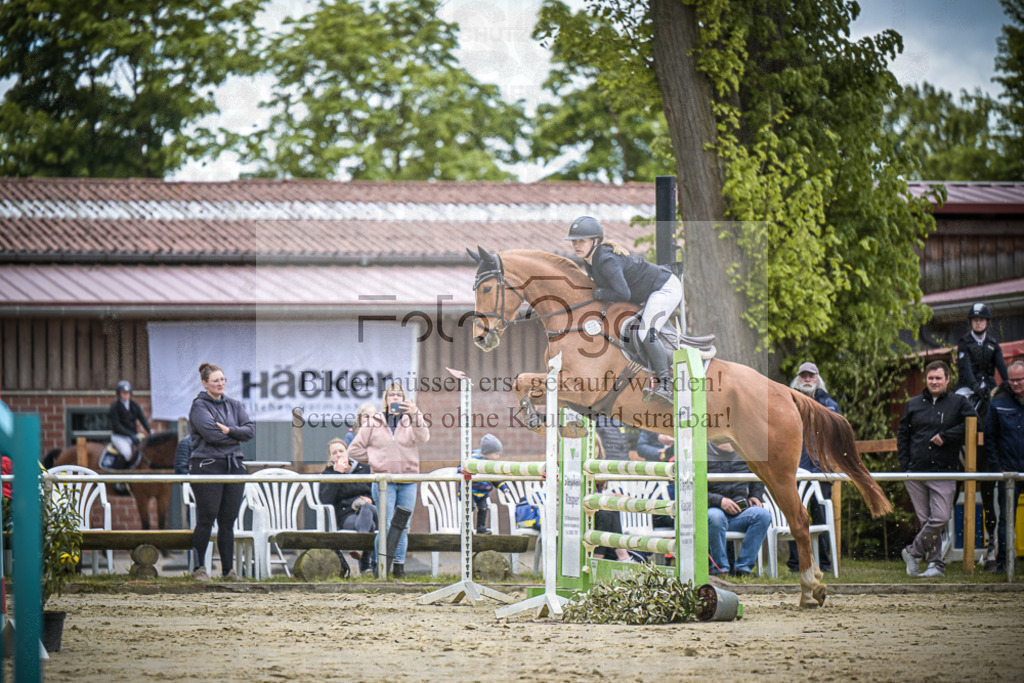DOS_6314 | Entdecke hochwertige Reitturnierfotos von Foto Oger. Professionell, emotional und authentisch – jetzt Lieblingsmomente im Shop bestellen.Deutschlandweite Turnierfotografie. - Realisiert mit Pictrs.com
