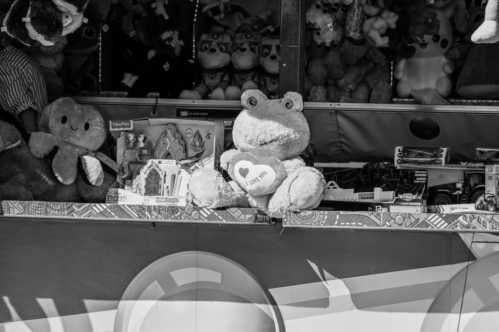 DSC_1267 | Pferde- und Turnierfotografie in Westsachsen. Pferdeportraits, Auftragszeichnungen und intuitive Kunst.