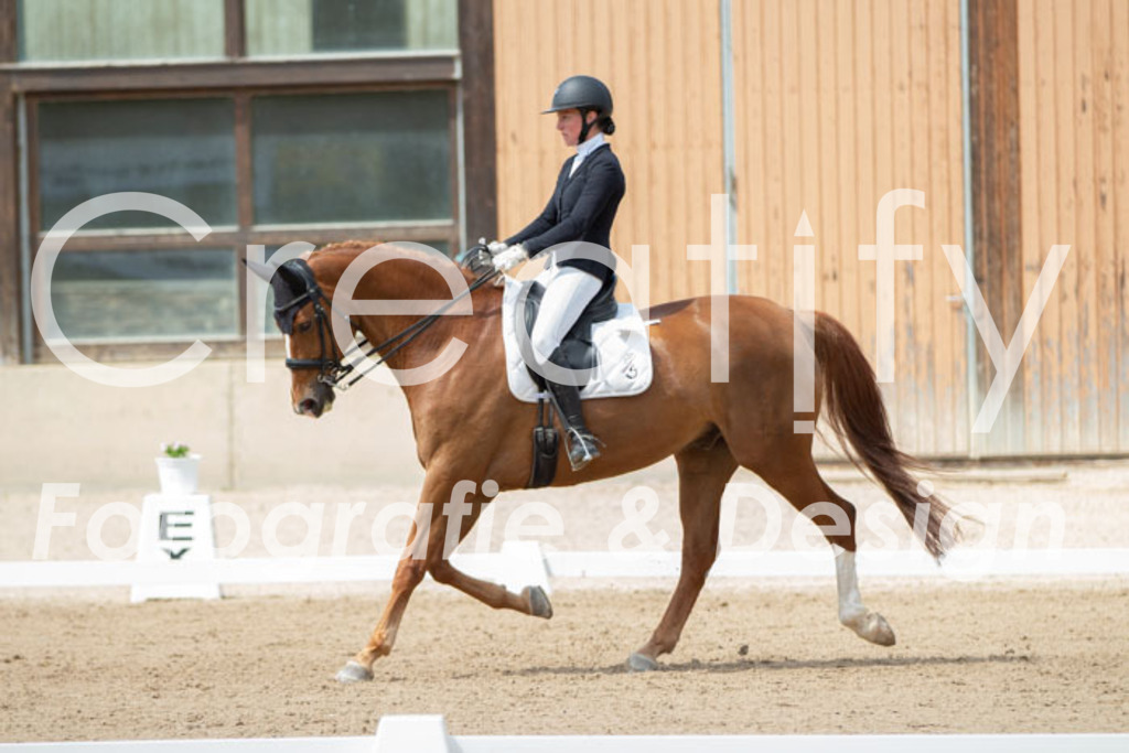 IMG_6138 | Creatify Fotografie