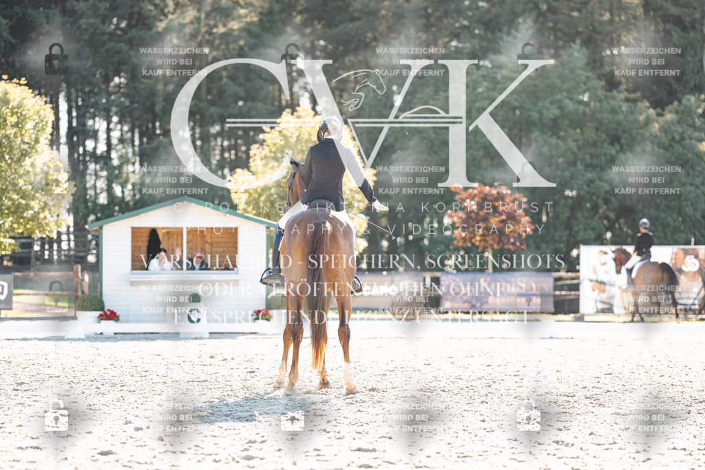 CK906622 | Turnierfotografie Pferdefotografie Trier Rheinland-Pfalz Pferdesport Reitsport Tierfotografie Sportfotografie Pferdevideo Pferdevideografie Equestrianvideography equestrianphotography  - Realisiert mit Pictrs.com