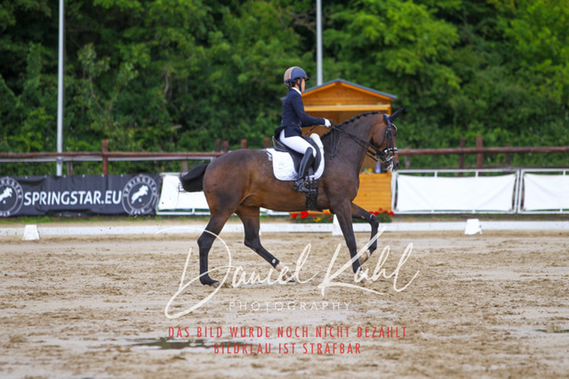 DKP46925 | Turniersportfotografie; Pferdefotografie; Dressurfotografie