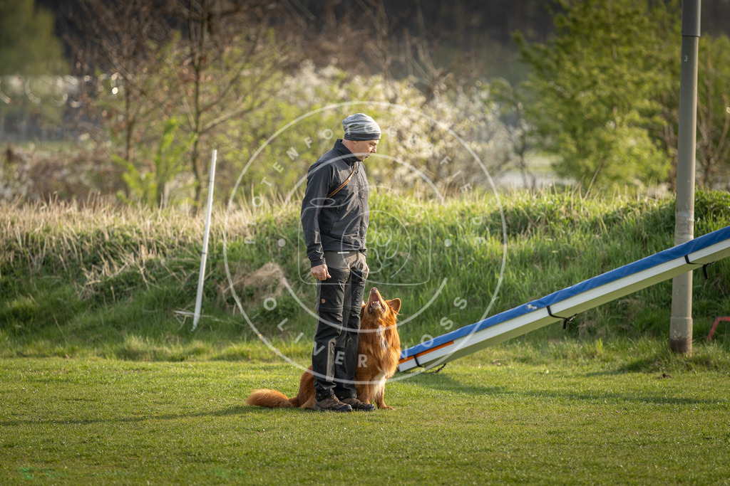 Pfotenfotografie_DV3A4771 | Hundefotografie, Tierfotograf, Pfotenfotografie, Fotoshooting Hund, Hunde Portrait, Hundesport, Hundeportraits, Heideshooting, Hunde, Sportfotograf, Hundefotograf, Turnierhundsport, THS,  - Realisiert mit Pictrs.com