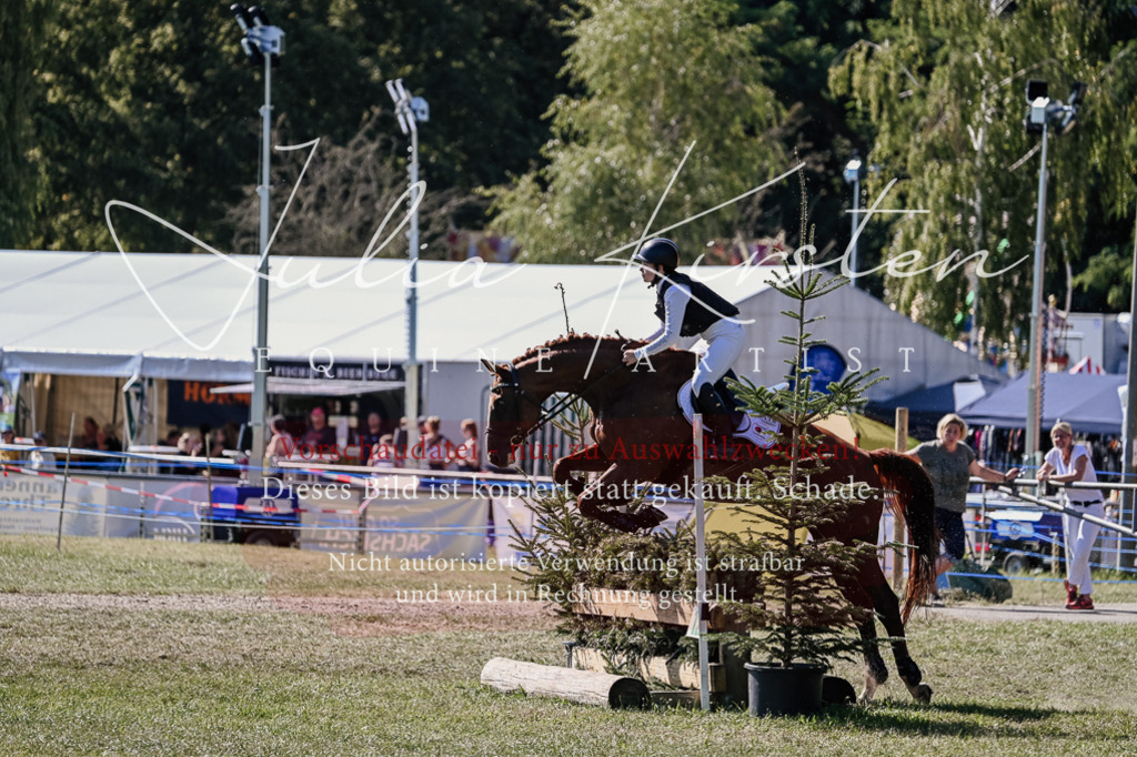 DSC_2684 | Pferde- und Turnierfotografie in Westsachsen. Pferdeportraits, Auftragszeichnungen und intuitive Kunst.