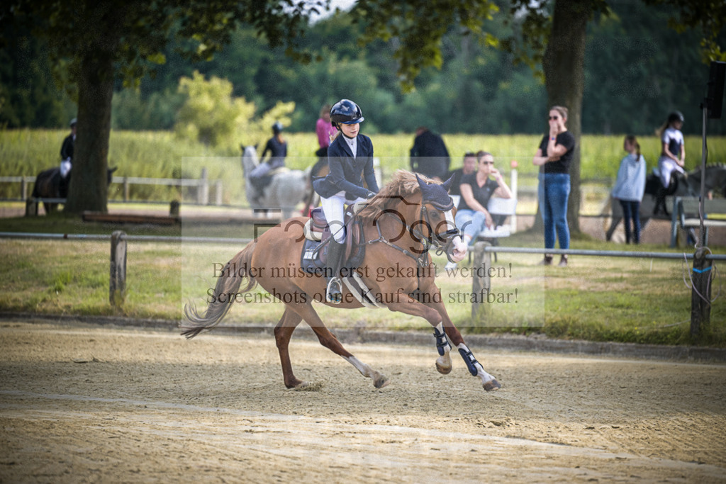 DOS_2160 | Entdecke hochwertige Reitturnierfotos von Foto Oger. Professionell, emotional und authentisch – jetzt Lieblingsmomente im Shop bestellen.Deutschlandweite Turnierfotografie. - Realisiert mit Pictrs.com