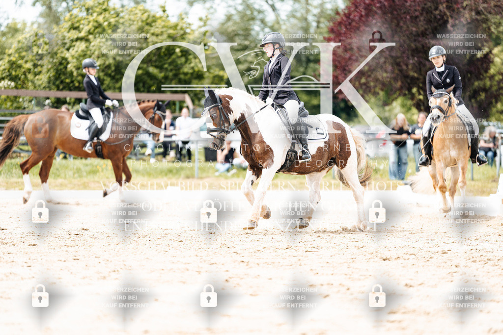 CK902264 | Turnierfotografie Pferdefotografie Trier Rheinland-Pfalz Pferdesport Reitsport Tierfotografie Sportfotografie Pferdevideo Pferdevideografie Equestrianvideography equestrianphotography  - Realisiert mit Pictrs.com
