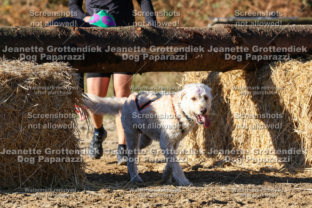 Dog Paparazzi - Strongdog 10-25-1872 | Dog Paparazzi Jeanette Grottendiek Fotografie & Videografie - Realisiert mit Pictrs.com