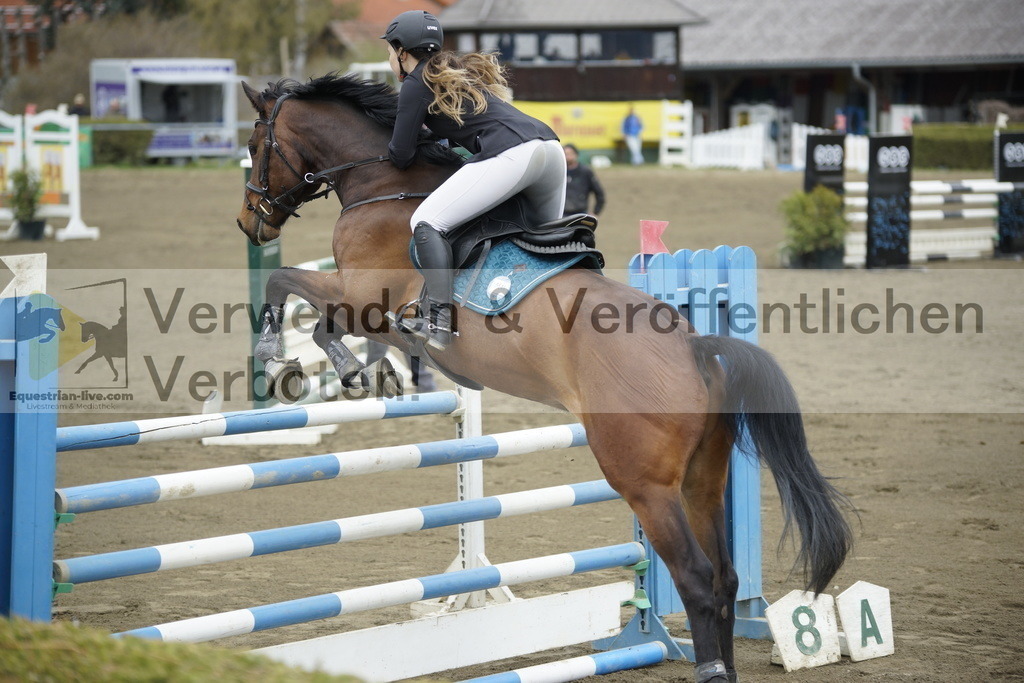 _DSC7146 | equestrian-live-com