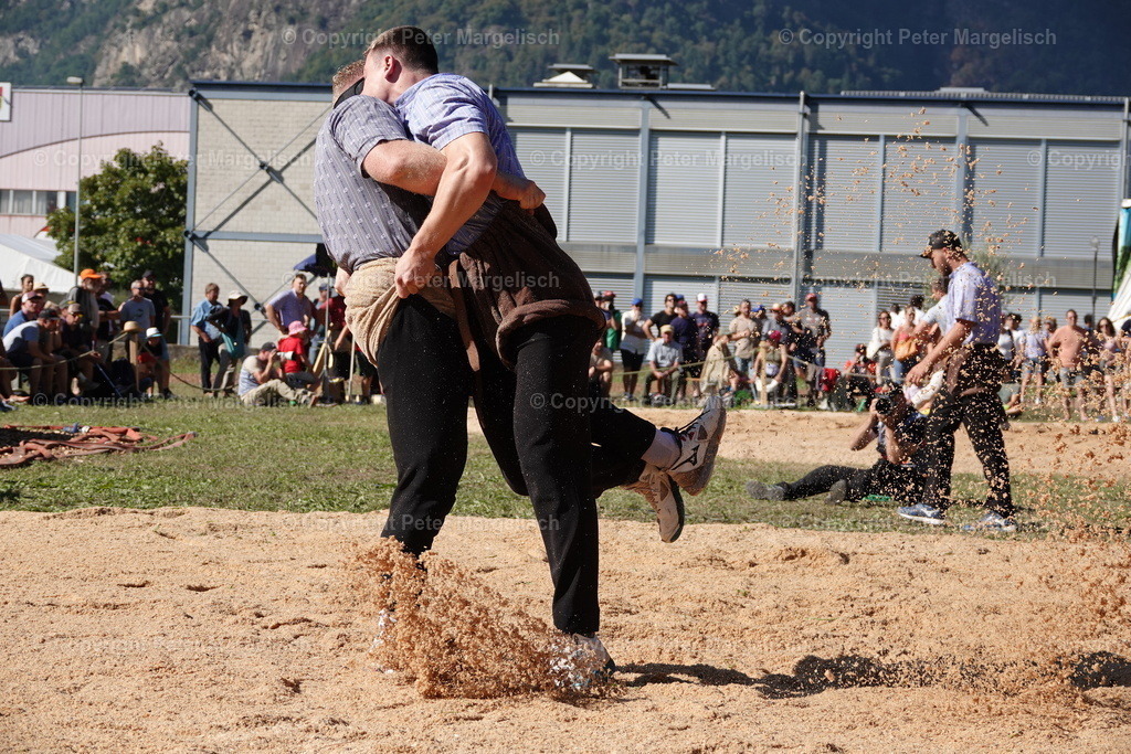 DSC01768 | Schwingen - Realisiert mit Pictrs.com