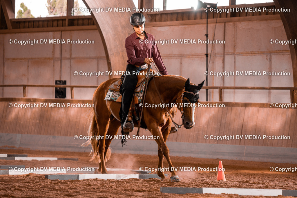 NE300064 | dv-media-shop - Realisiert mit Pictrs.com